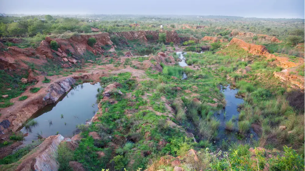 Aravalli Biodiversity Park